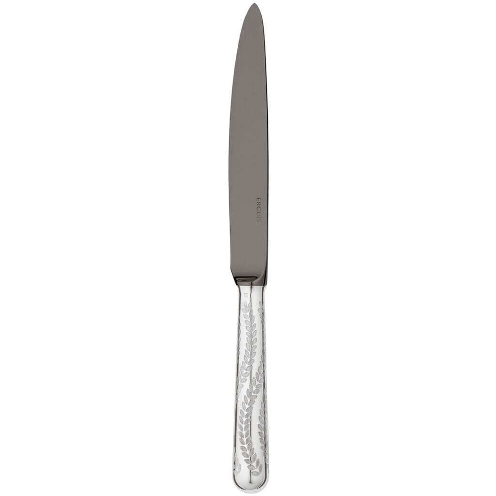 Couteau de table  image number 0