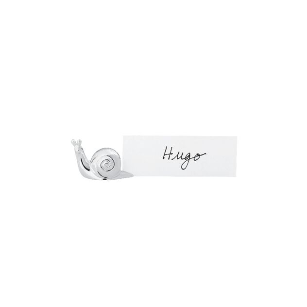 Name Holder snail image number 0