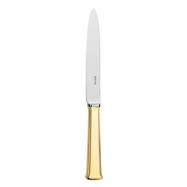 Table knife Uni - 22,6 cm, Hollow Handle Orfèvre image number 0